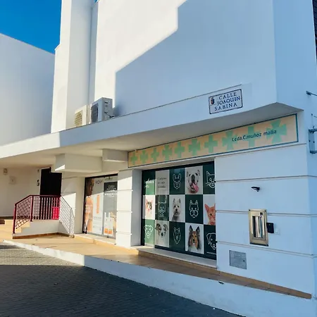 Atico Premium Conil Con 2 Terrazas, Parking, Piscina, Aire Ac Y Wifi -solo Familias Y Parejas- Conil De La Frontera