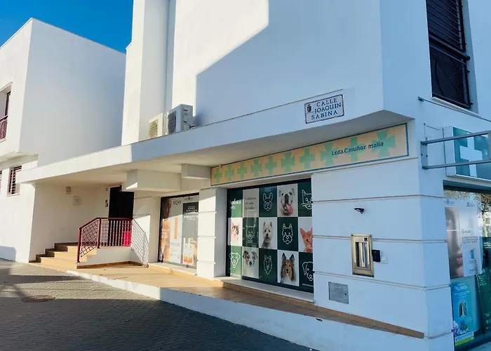 Superior Con Piscina, Parking, Terraza, Aire Ac Y Wifi -solo Familias O Parejas- Conil De La Frontera